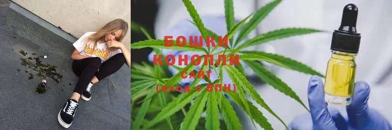 Бошки Шишки OG Kush  Болхов 